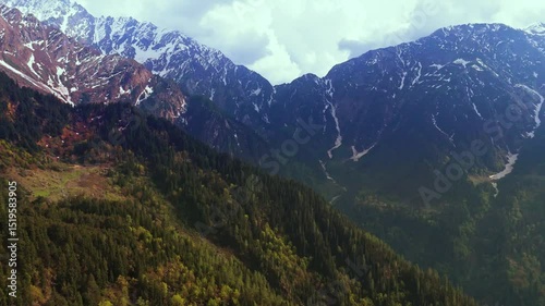 Layers of the Earth – Where Pines Meet the Peaks
