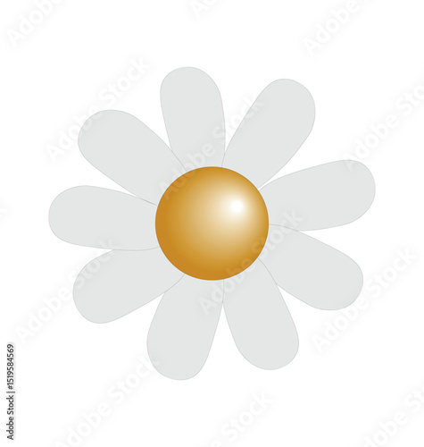 flower white daisy hand drawing