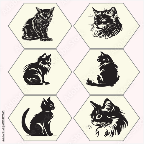 stray cat vector set