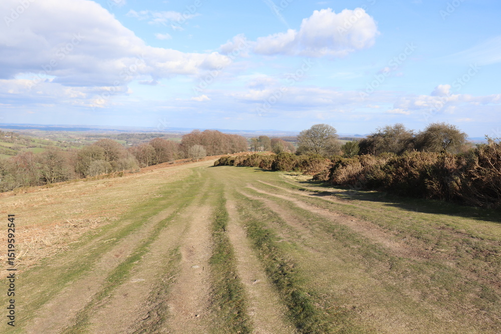 Fototapeta premium Summertime landscape along Hergest Ridge