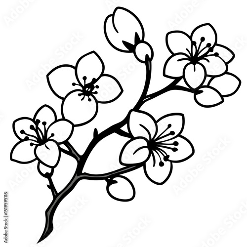 Minimal Plum Blossom Vector on White Background