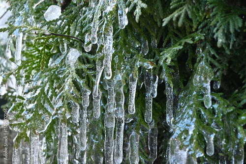 Ice green