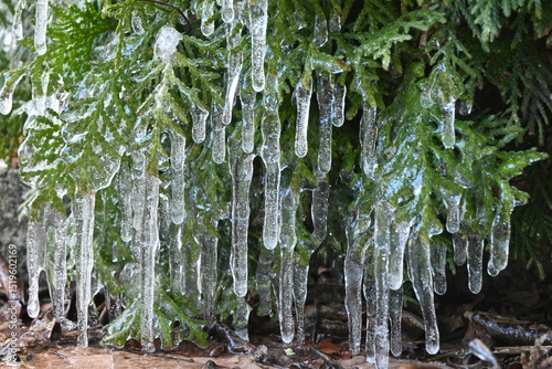 Frosty