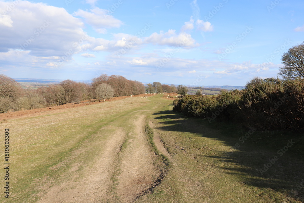 Naklejka premium Summertime landscape along Hergest Ridge