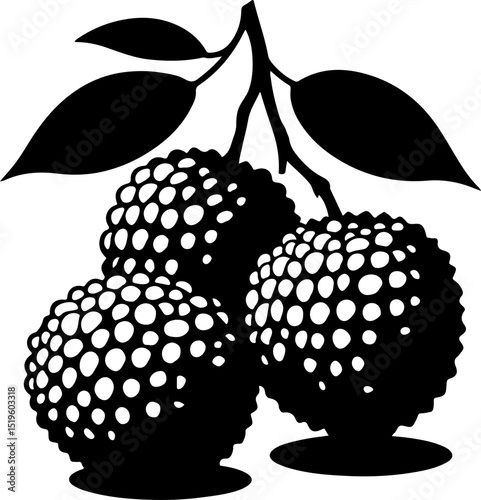 Elegant black and white illustration of lychee fruit.