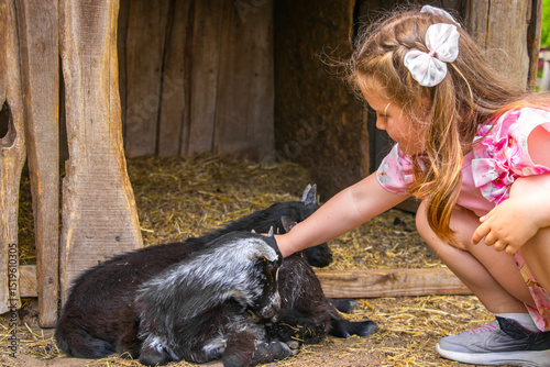 Little girl in pink dress feeds a goat at a farm. Rural setting with wooden fence and green grass. Daylight scene with natural colors and candid moment of child-animal interaction.

