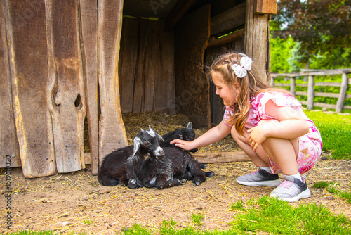 Little girl in pink dress feeds a goat at a farm. Rural setting with wooden fence and green grass. Daylight scene with natural colors and candid moment of child-animal interaction.


