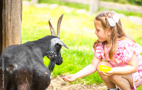 Little girl in pink dress feeds a goat at a farm. Rural setting with wooden fence and green grass. Daylight scene with natural colors and candid moment of child-animal interaction.

