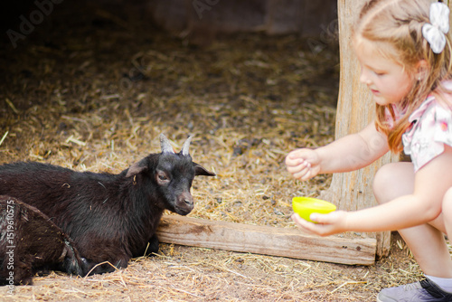 Little girl in pink dress feeds a goat at a farm. Rural setting with wooden fence and green grass. Daylight scene with natural colors and candid moment of child-animal interaction.

