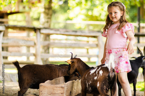 Little girl in pink dress feeds a goat at a farm. Rural setting with wooden fence and green grass. Daylight scene with natural colors and candid moment of child-animal interaction.

