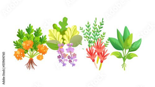 Colorful assortment of fresh herbs and flowers arranged beautifully in a vibrant display