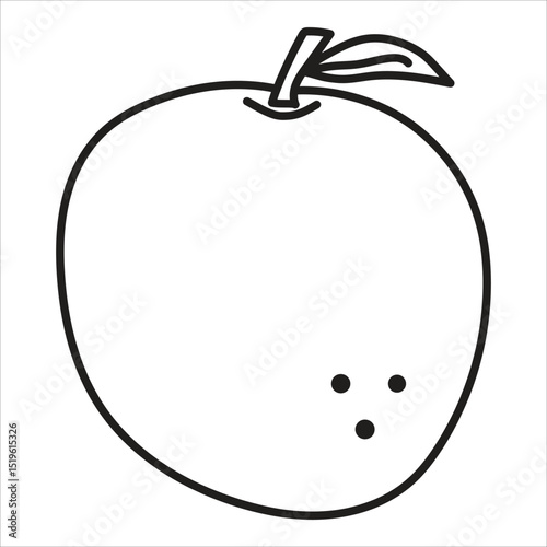 an orange fruit icon vector illustration