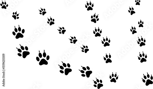 Paw print foot trail. Dog, cat paw print. Vector
