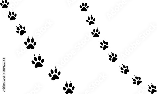 Paw print foot trail. Dog, cat paw print. Vector

