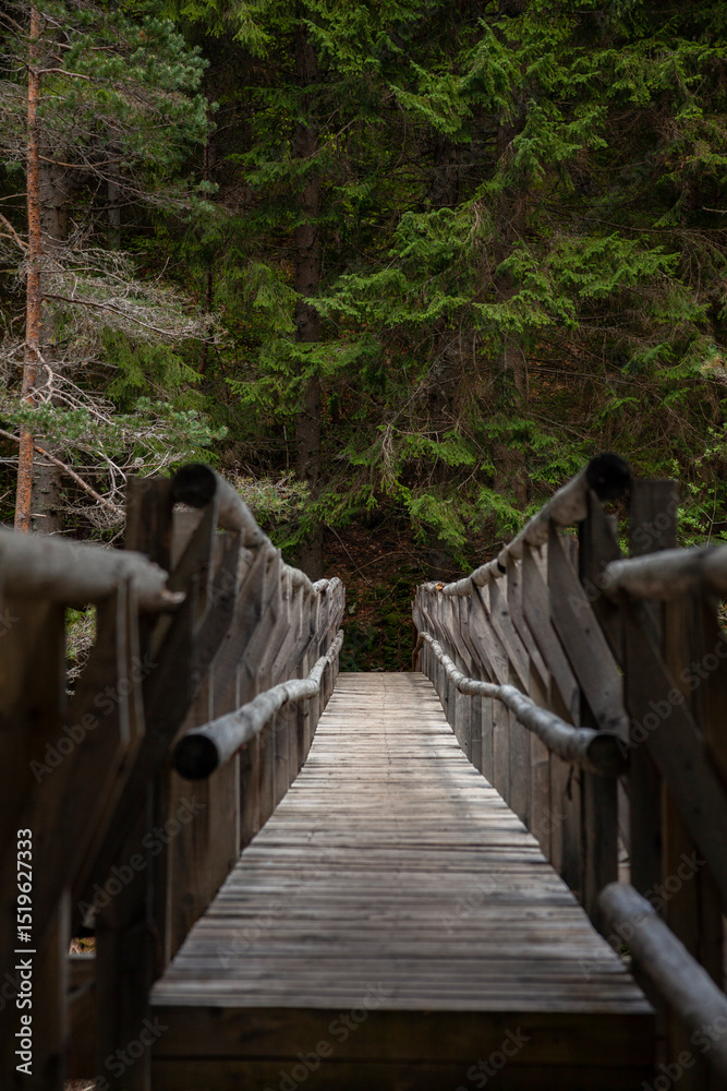 Fototapeta premium Forest and Iskar river in Rila mountain, Bulgaria