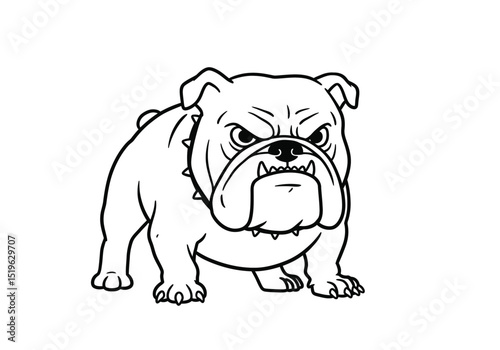 Angry bulldog drawing. It is a black and white outline image of an angry bulldog, a fierce, tough canine. Vector sketch line art draw.