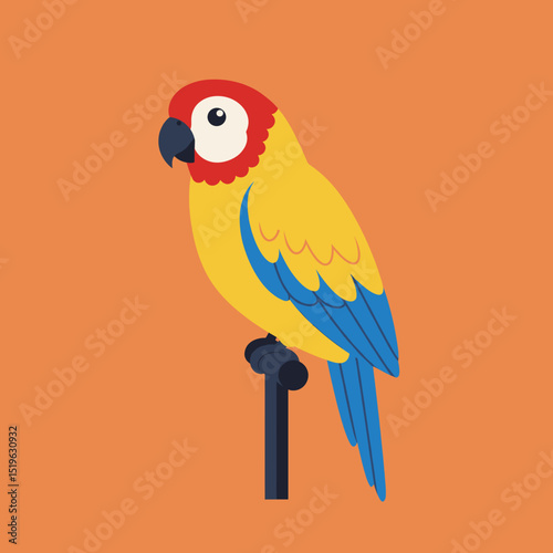 Colorful parrot standing against a vibrant orange background, showcasing its features