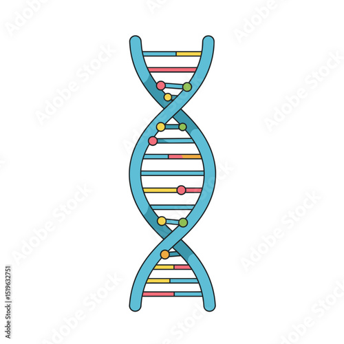 Colorful DNA double helix illustration on a white background, ideal for educational use