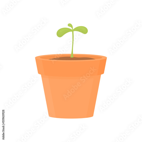 Young sprout in a pot. Seedlings for planting in spring. Farm growing of young plants.