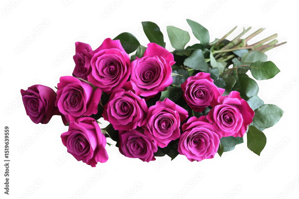 Obraz premium Ten magenta roses bouquet isolated on transparent background