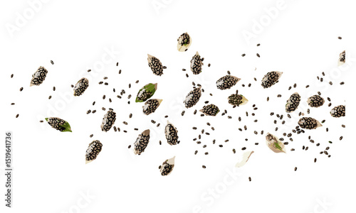 Chia seeds, Salvia hispanica, macro, top view, isolated on white background, superfood, healthy eating, vegan ingredients, organic food, vector illustration.