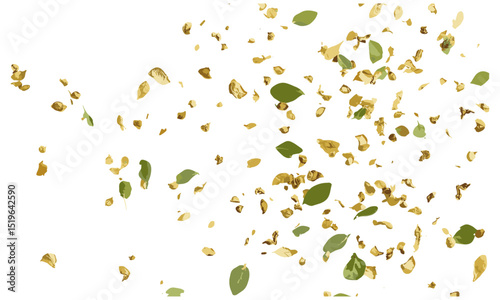 Chopped dry oregano flying isolated on white, clipping path, vector illustration, culinary herb, organic spices, food seasoning, cooking ingredients, isolated herb, healthy lifestyle.