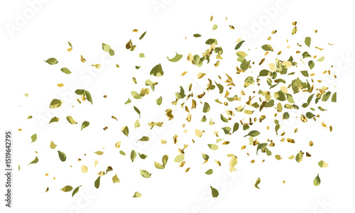 Dry oregano leaves flying on white background, clipping path, vector illustration, organic herbs, culinary seasoning, spice leaves, fresh oregano, cooking ingredients, natural flavor.