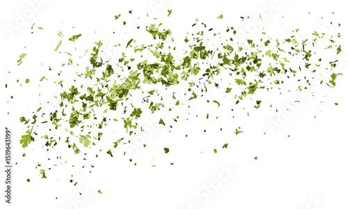 Chopped dry parsley leaves flying, isolated on white, cutout, healthy food, culinary herbs, cooking ingredients, fresh parsley, vector illustration, organic seasoning.