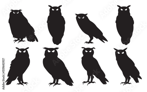 Collection of Owl Silhouettes in Various Poses Nocturnal Bird Illustrations in Black and White Silhouette