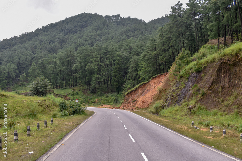 Fototapeta premium Winding road through lush green hills and pine forests of Meghalaya.