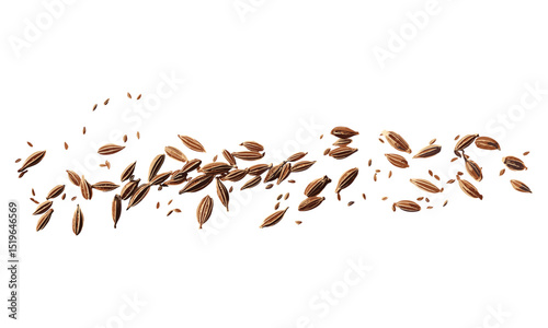 Caraway seeds, cumin grains close up on white background, side view, vector illustration, aromatic herbs, spice collection, cooking spices, dried herbs, organic seeds.