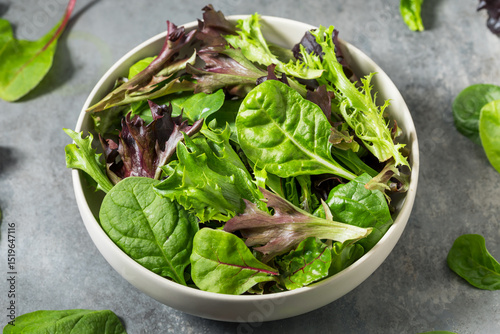 Organic Raw Green Spring Lettuce Mix