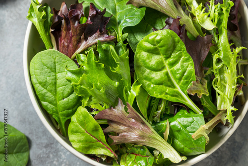 Organic Raw Green Spring Lettuce Mix