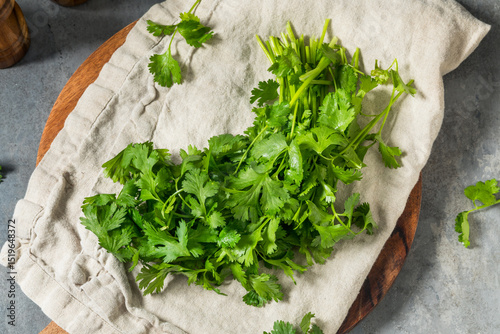 Organic Raw Green Cilantro Herbs
