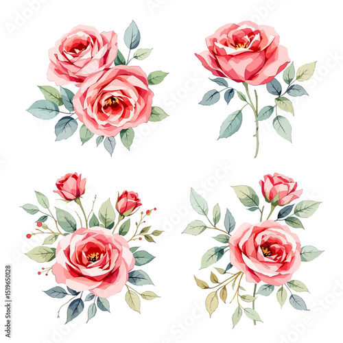 Set of watercolor Red rose flowers on white background, Set watercolor Flowers Clipar