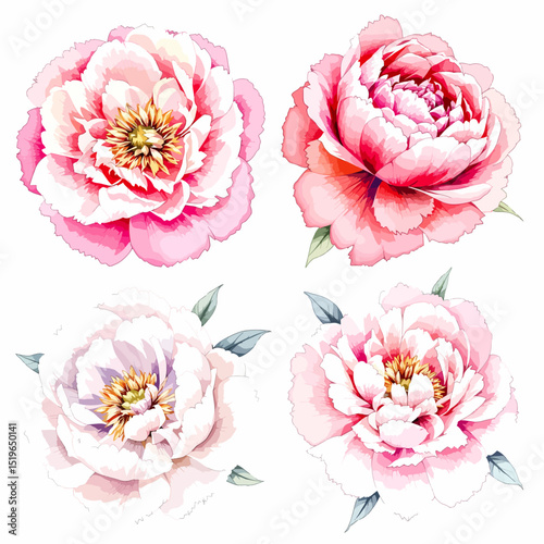 Charming watercolor wildflower bouquets featuring soft pastel blooms arranged in elegant balanced botanical compositions