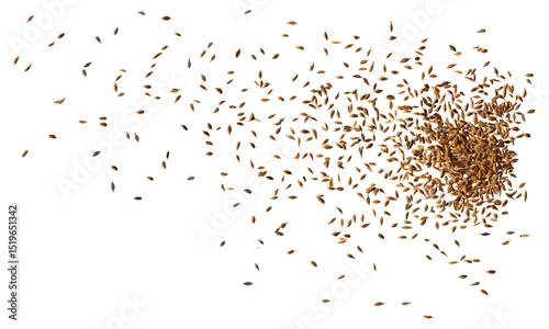 Cumin seeds flying, caraway grains scattered isolated, vector illustration, organic spices, aromatic herbs, natural ingredients, food garnish, cooking essentials, kitchen spices, healthy seasonings.