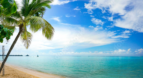 Fototapeta Naklejka Na Ścianę i Meble -  Beautiful tropical beach with golden sand, palm tree, turquoise ocean against blue sky with clouds on a sunny summer day. Perfect landscape background for a relaxing vacation.