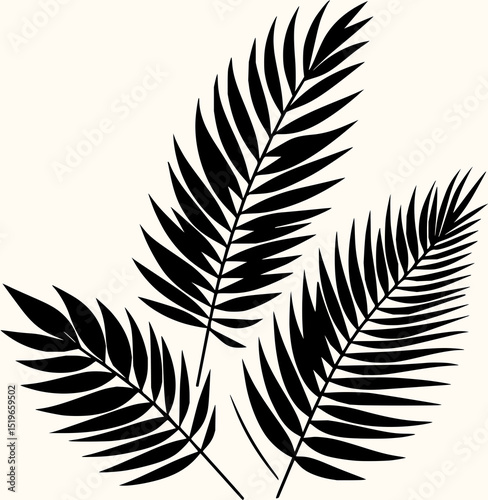 Minimilist three black palm fronds arranged against a cream background creating a minimalist tropical design style image vector