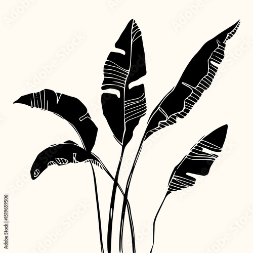 Minimilist illustration of a plant with long leaves in black and white with a simple and minimalist design style vector