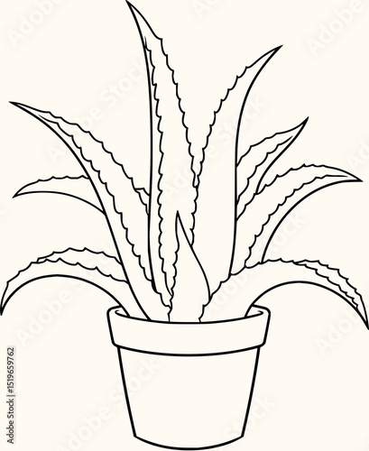 Minimilist a simple line drawing of an aloe vera plant in a pot with long spiky leaves and a clean white background vector