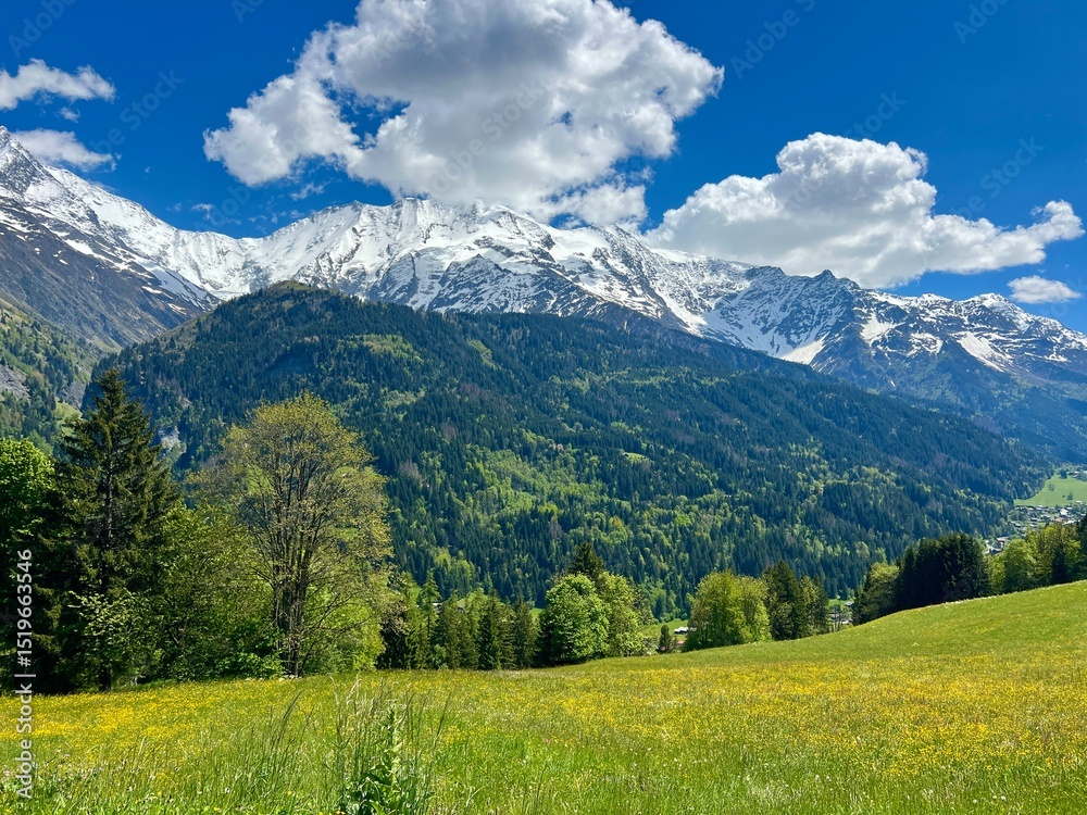 Fototapeta premium Dôme de Miage