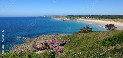 GR 34 le sentier des douaniers en Bretagne en France : de Fréhel à Plurien (Cap Fréhel, Sables d'Or les Pins, baie de la Fresnaye) photo