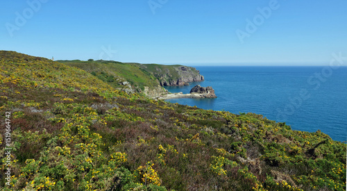 GR 34 le sentier des douaniers en Bretagne en France : de Fréhel à Plurien (Cap Fréhel, Sables d'Or les Pins, baie de la Fresnaye) photo