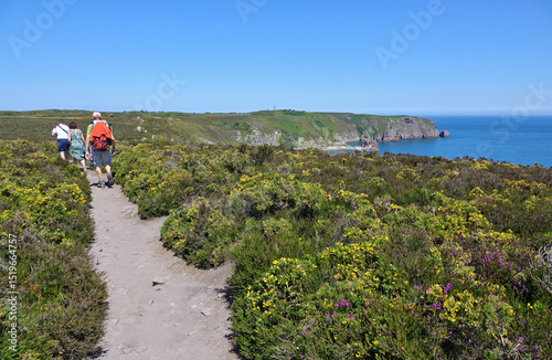 GR 34 le sentier des douaniers en Bretagne en France : de Fréhel à Plurien (Cap Fréhel, Sables d'Or les Pins, baie de la Fresnaye)