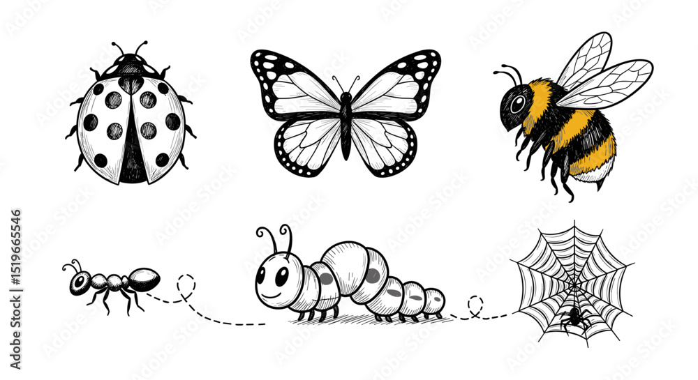 Obraz premium Illustration of a ladybug, butterfly, bee, ant, caterpillar, and spider web on a white background