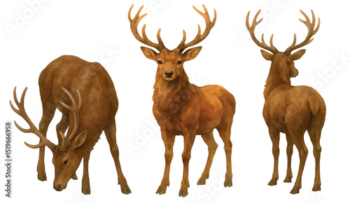 Vector freehand watercolor clipart deer illustration isolated on white background. Hand drawn watercolour reindeer.	
