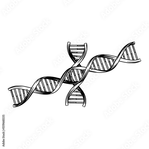 Dna helix strand genetic code molecule biology science medical research deoxyribonucleic acid structure gene