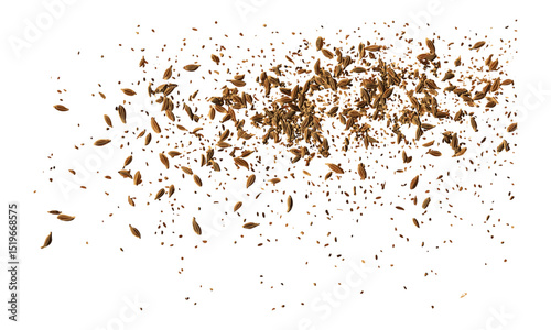 Cumin seeds scattered on white background, caraway isolated, ground cumin, spice vector illustration, culinary herbs, kitchen ingredients, food illustration, spice texture.