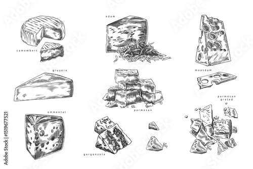 Different cheeses pieces sketch vector set, engraved hand drawn emmental, edam, maasdam, Gruyere Parmesan and Gorgonzola